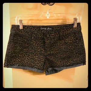 Smoking hot leopard shorts